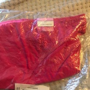 Lane Bryant Bikini Panties